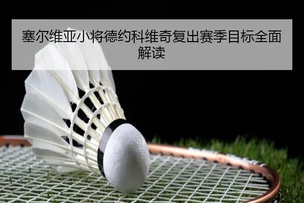 塞尔维亚小将德约科维奇复出赛季目标全面解读